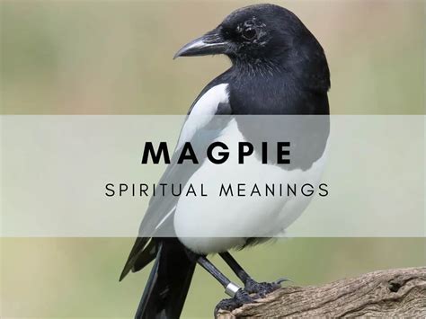Meaning of magpuyos .